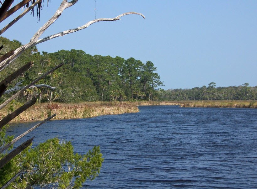 Bulow Creek State Park, Florida, USA